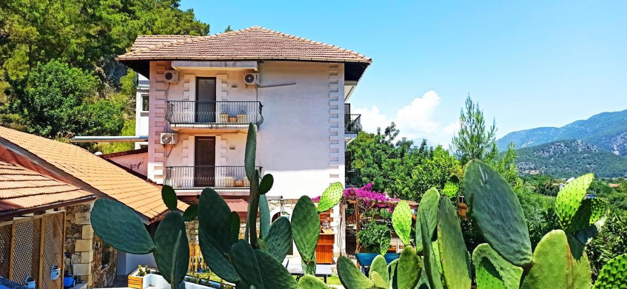 Hotel Swiss Eviniz (adults Only)